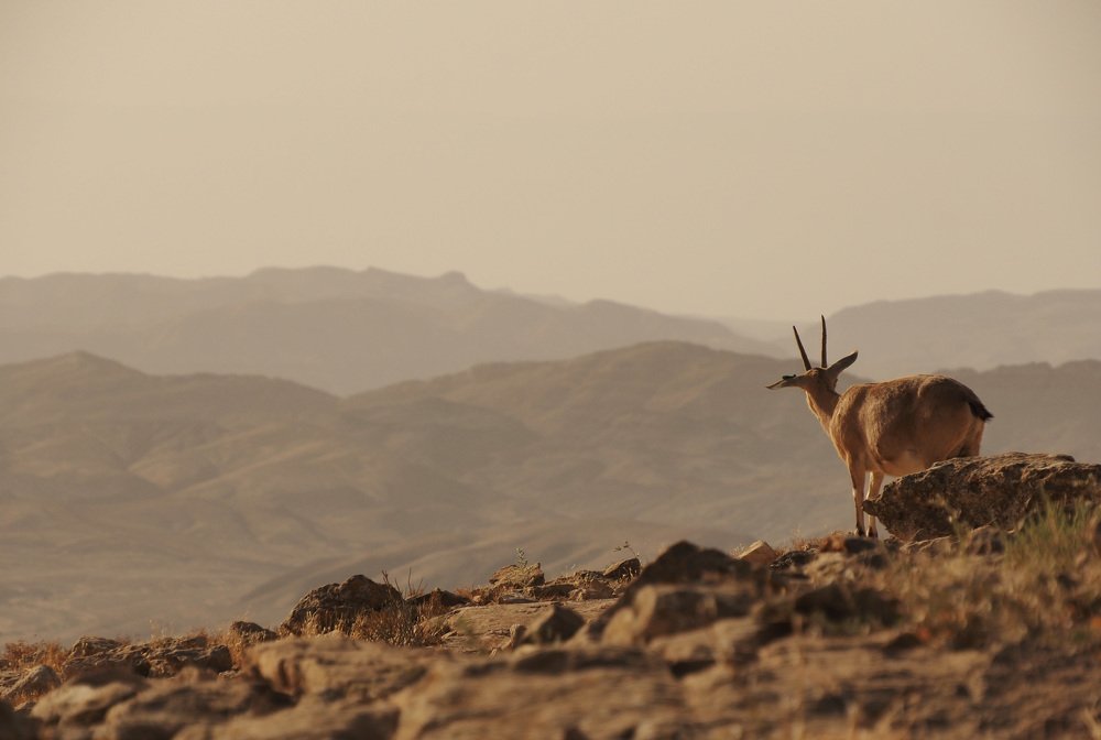 Photograph by Svetlana