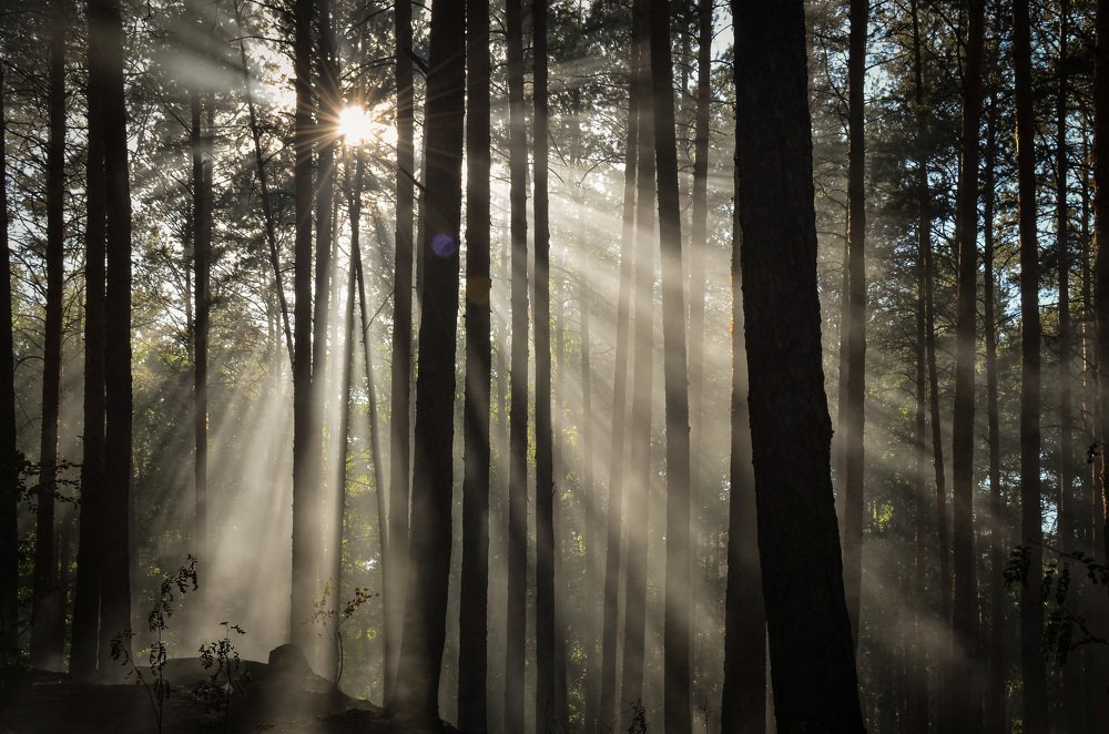 Photograph by Pavel SidorOFF