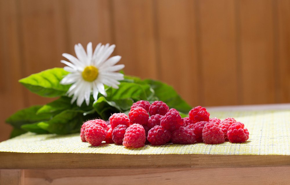 Photograph by Надежда Моряхина