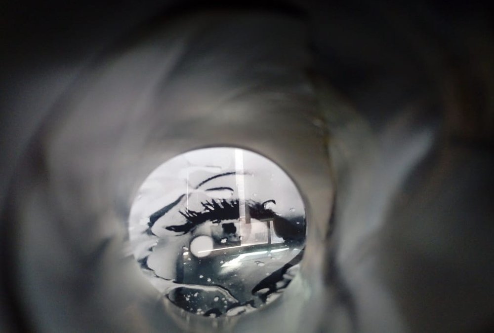 Photograph by Barbara Barrera