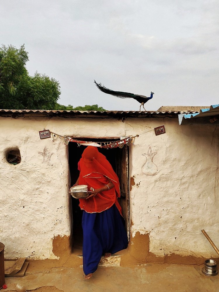 Photograph by Sunil Sharma