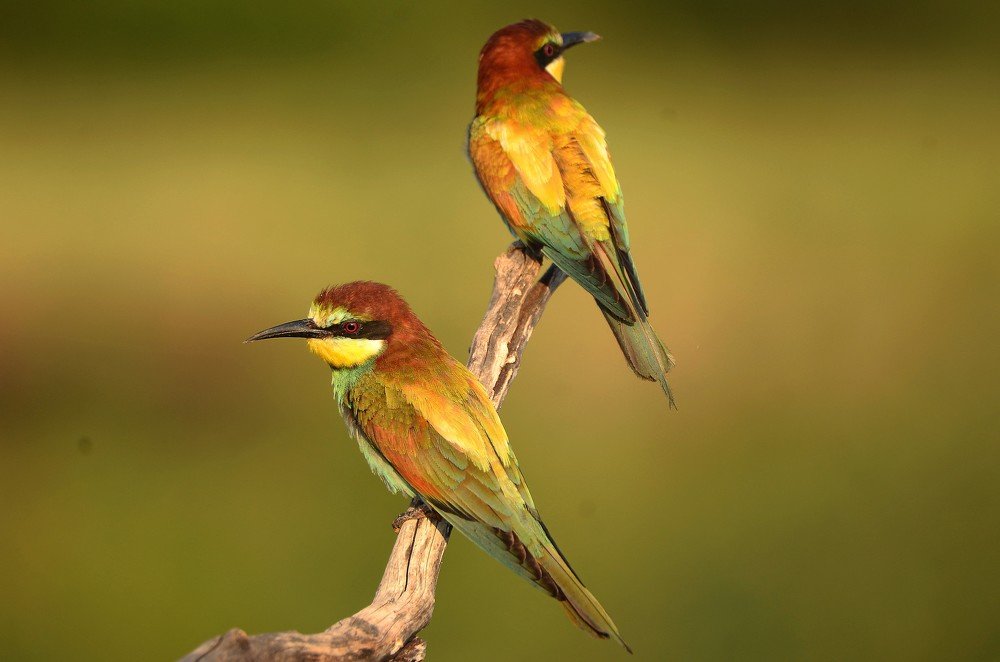 Photograph by Андрей Шварев