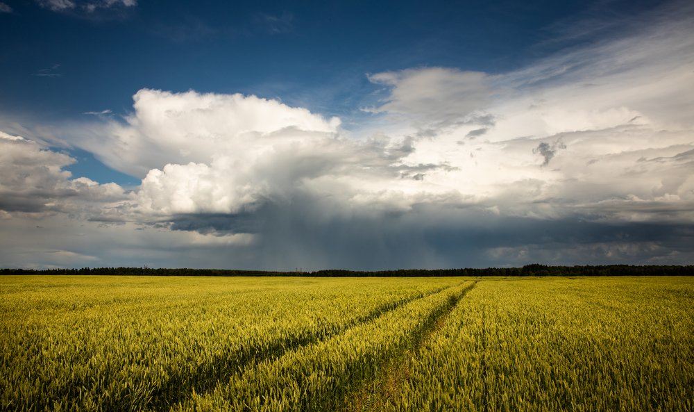 Photograph by Алексей Солоухин