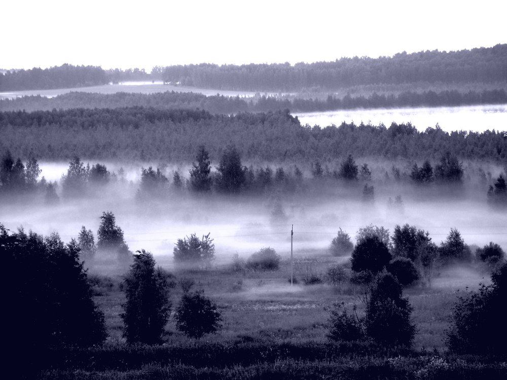 Photograph by Сергей Кузнецов