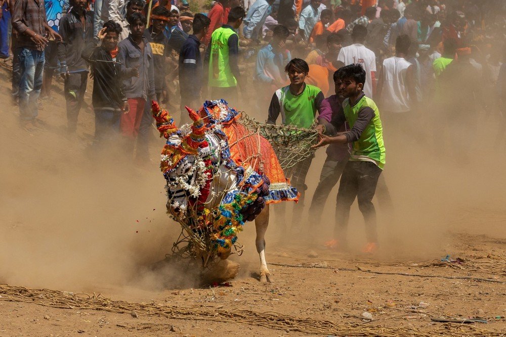 BULL RACE