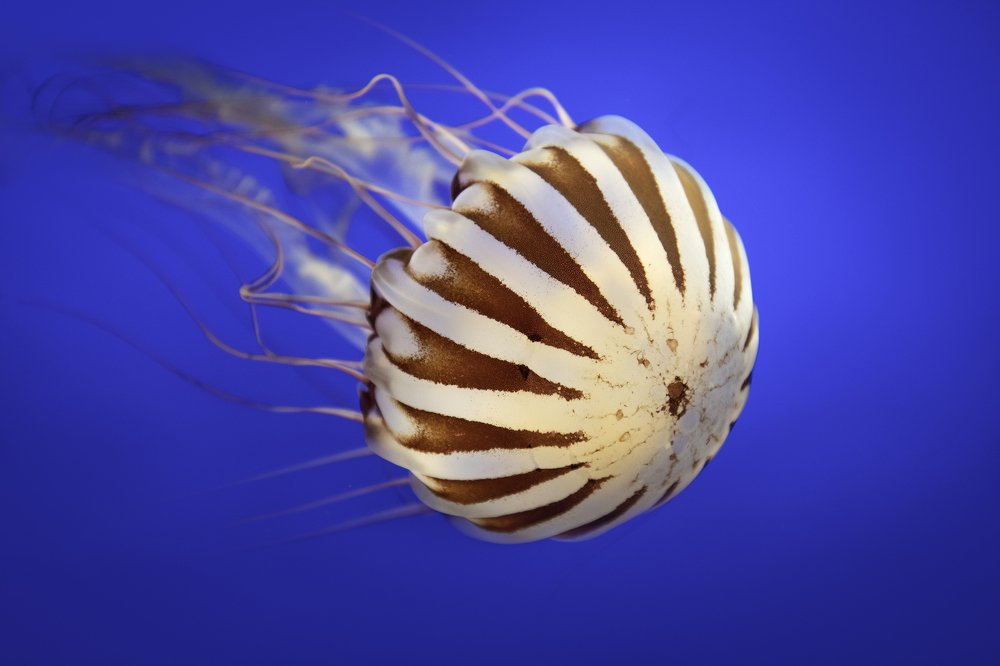 Photograph by HITTHEROAD