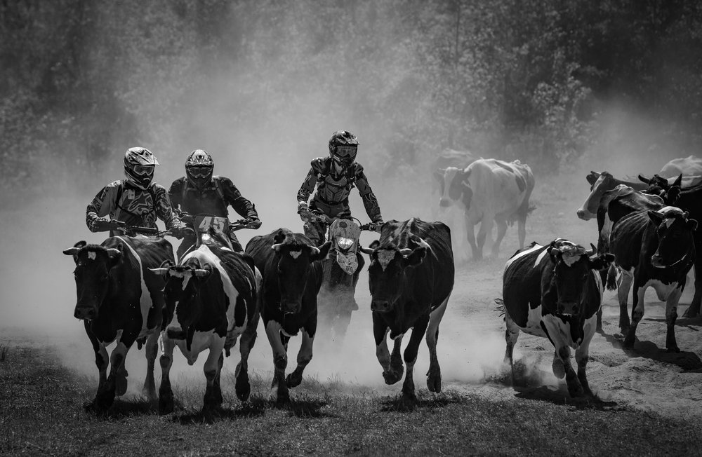 Мотоковбои)))