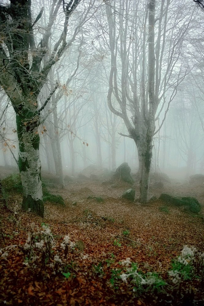 Photograph by 