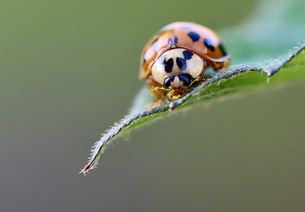 Photograph by Малика Маткарим