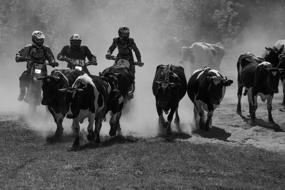 Мотоковбои-2