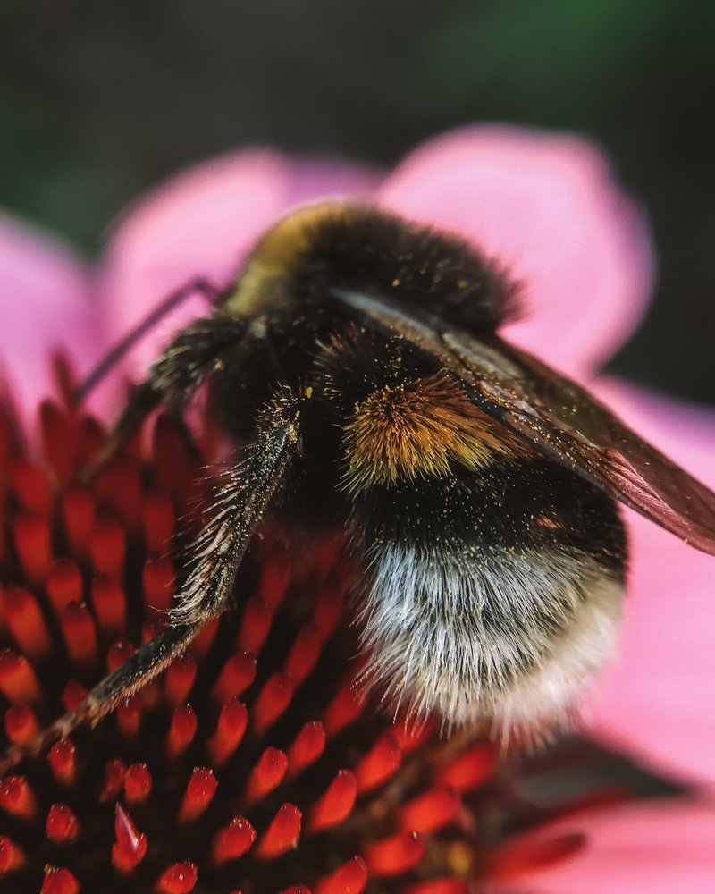 Photograph by Наталья Мальцева