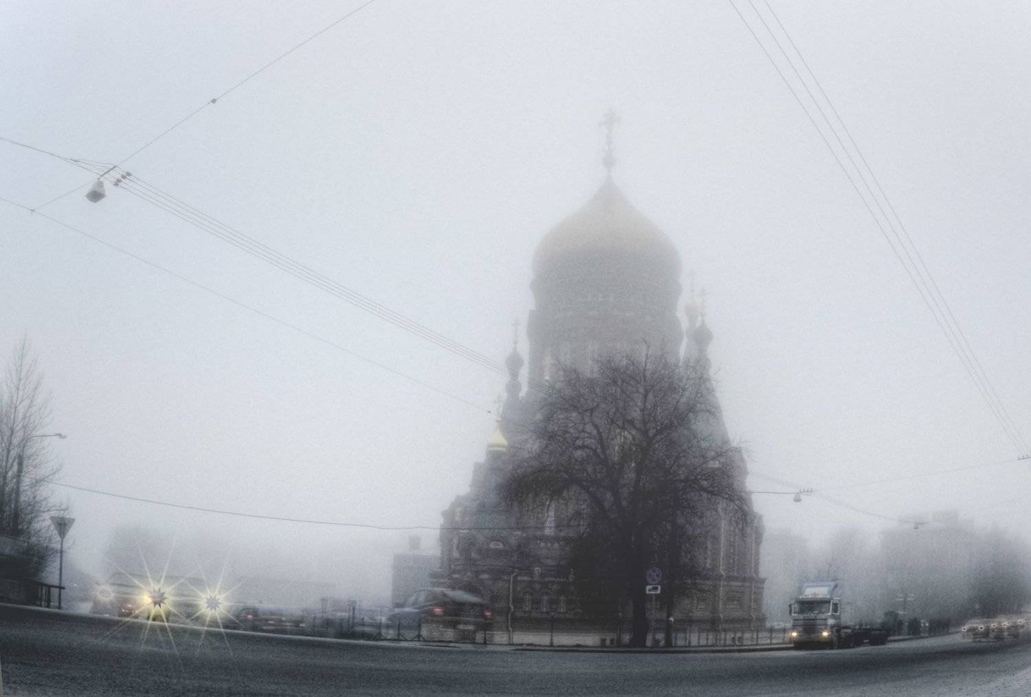 Photo #4812792