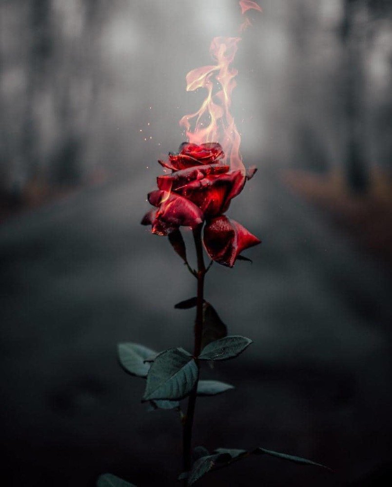 Photograph by Ayodeji Adeola Grace