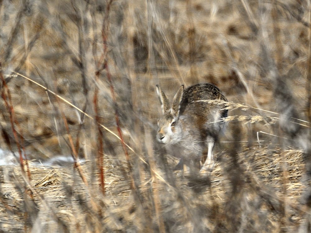 Photograph by Василий