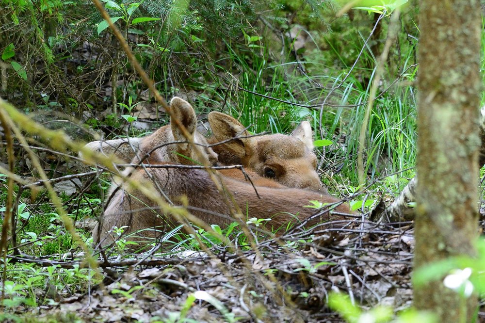 Photograph by Василий