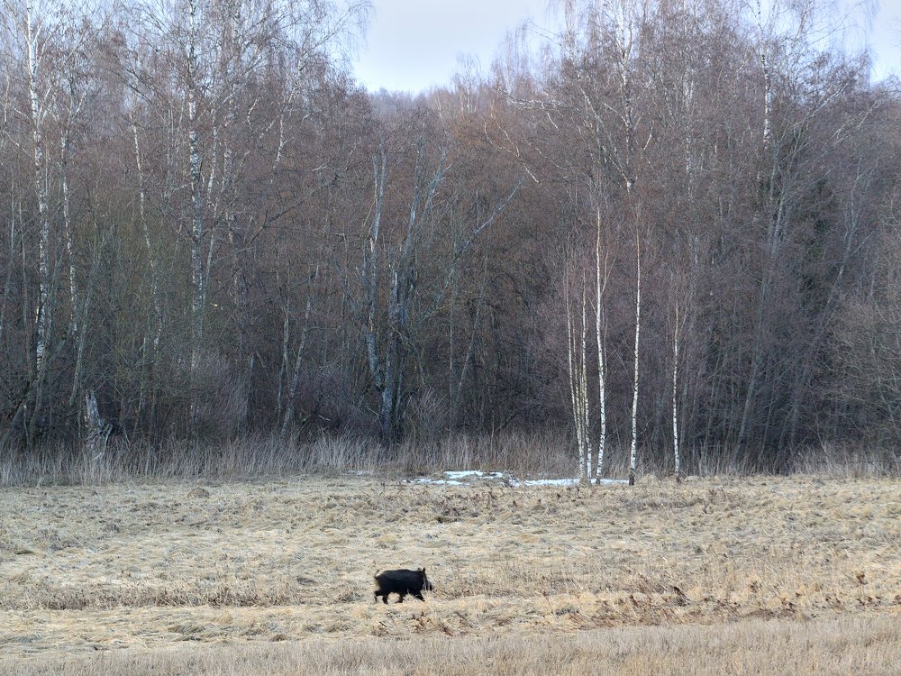 Photograph by Василий