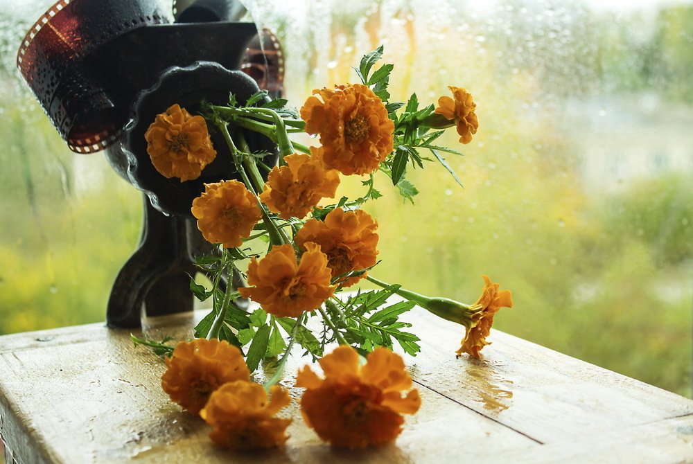 Осеннее преображение