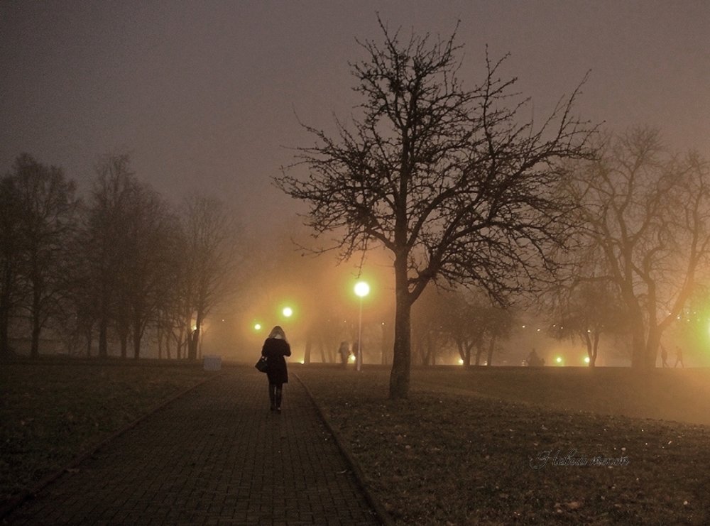 Туманный вечер...