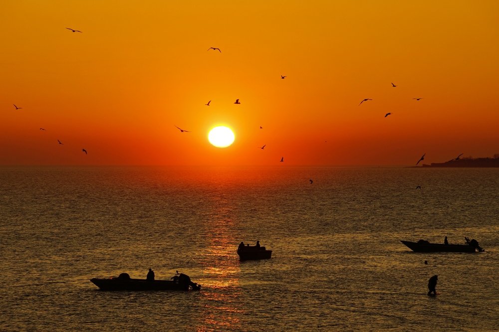 Богудония. Азовское море.