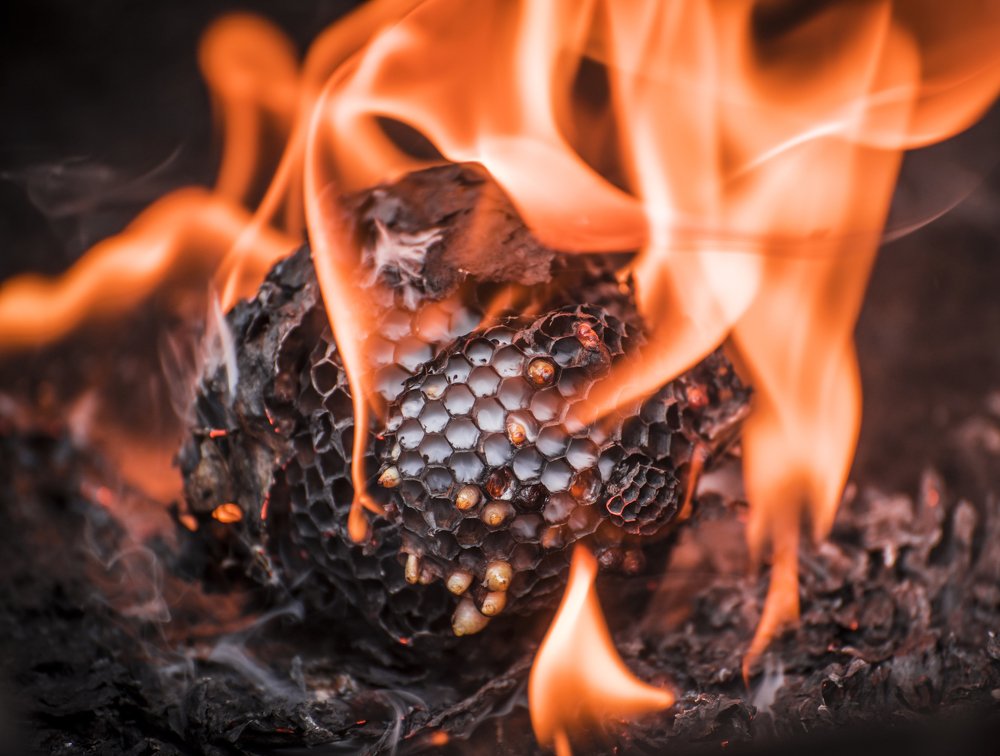 Photograph by Ekaterina Fadeeva