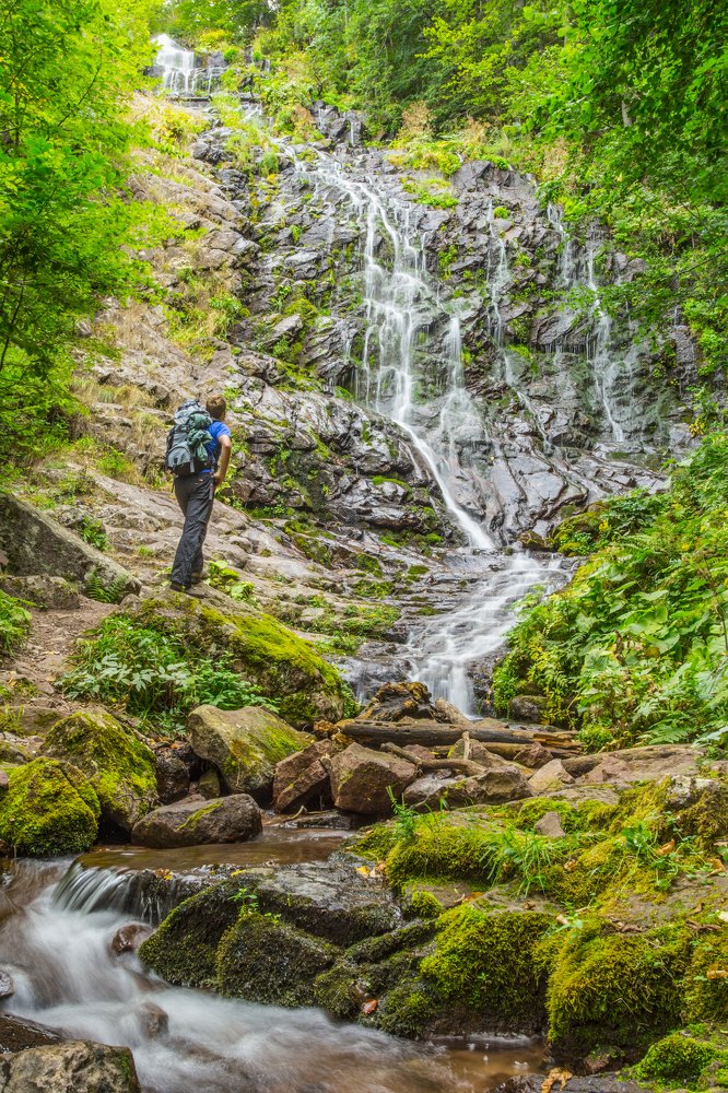 Photograph by Jelena Potrebic