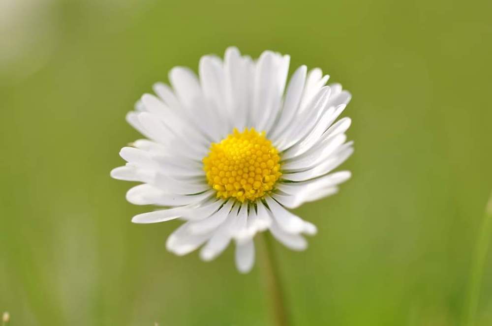 Photograph by Eva Minßen