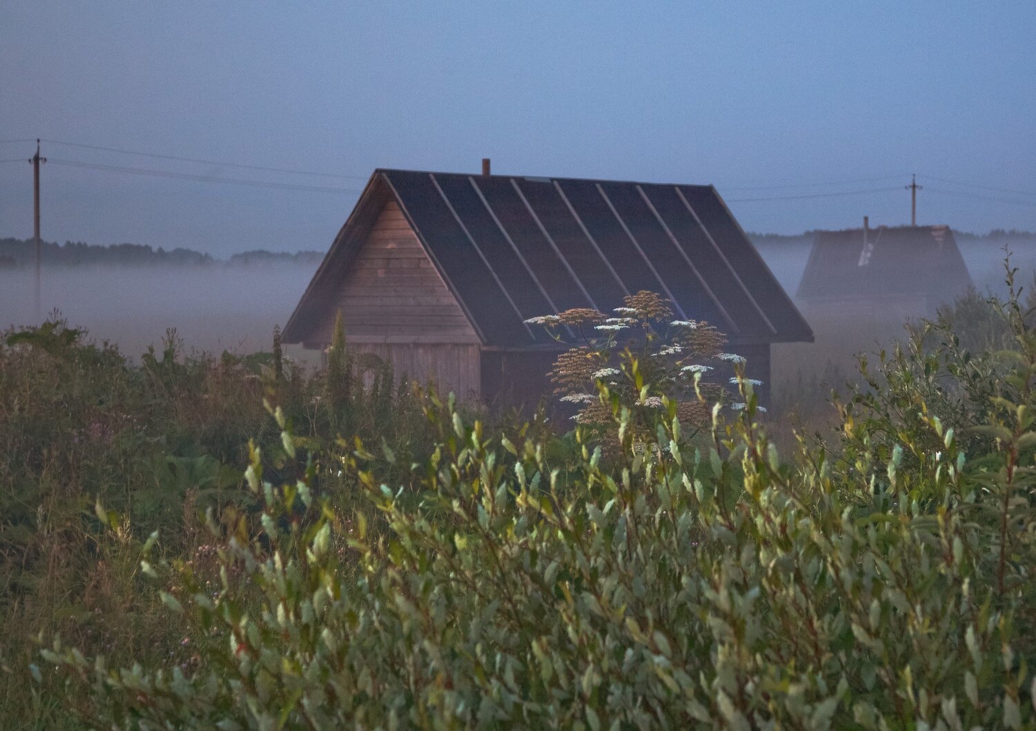 Photo #4813034