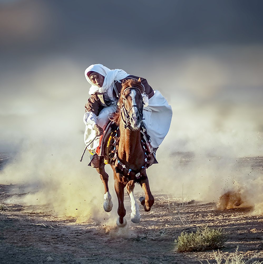 Photograph by Tounekti Abdallah