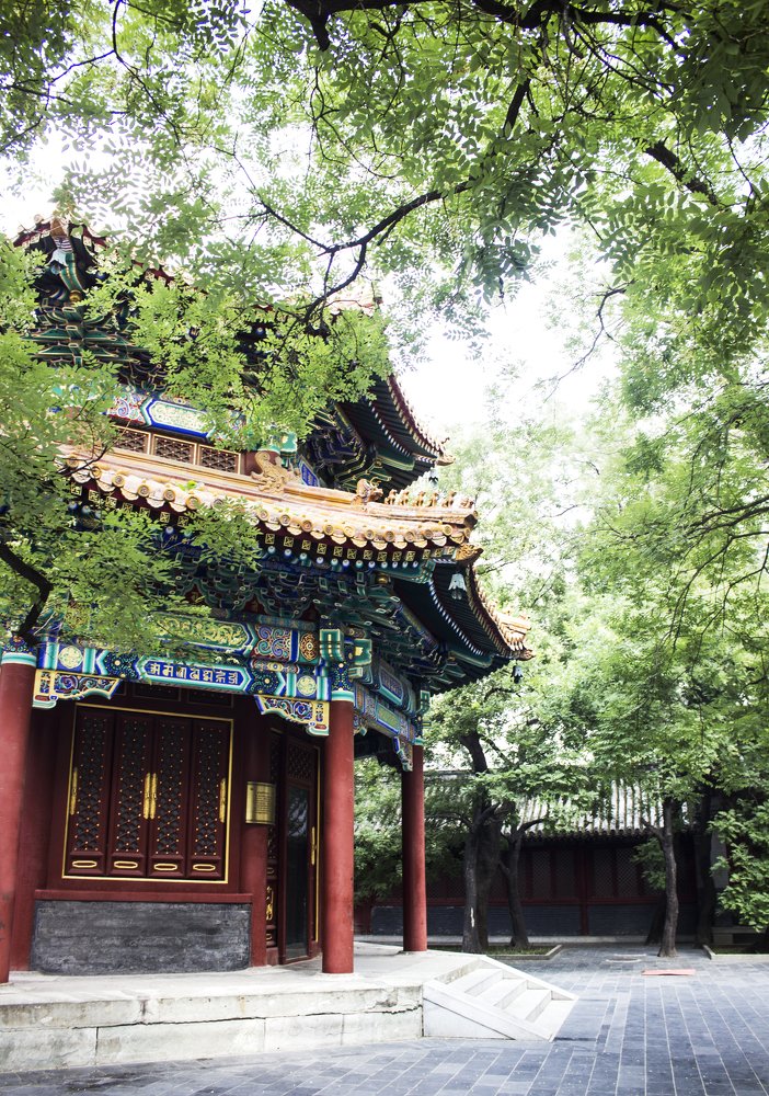 Photograph by Екатерина Кривошеина