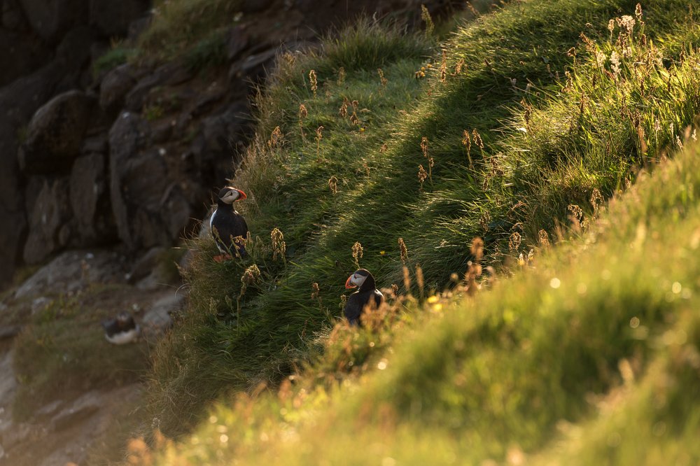 Photograph by Константин Костин