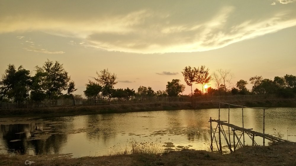 Photo #4813179