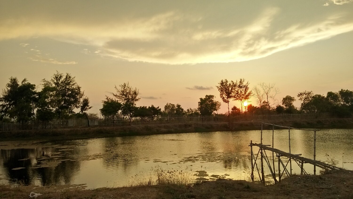 Photo #4813179