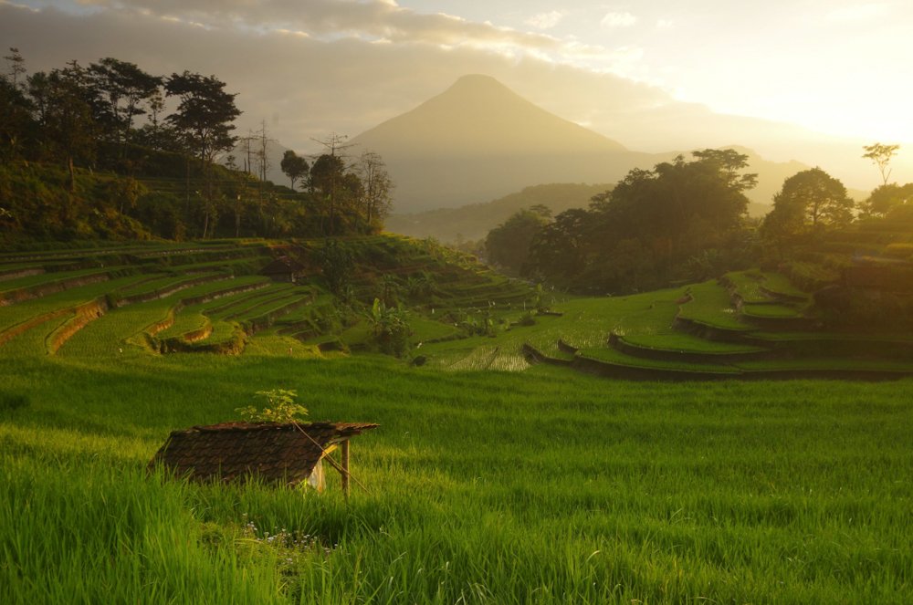 Photograph by Anjar Pratama