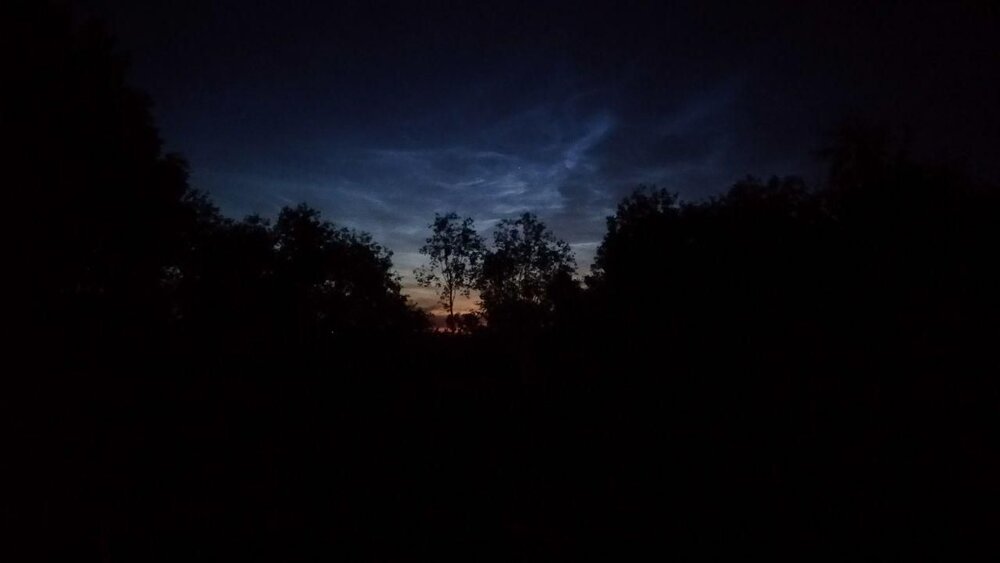 White Night