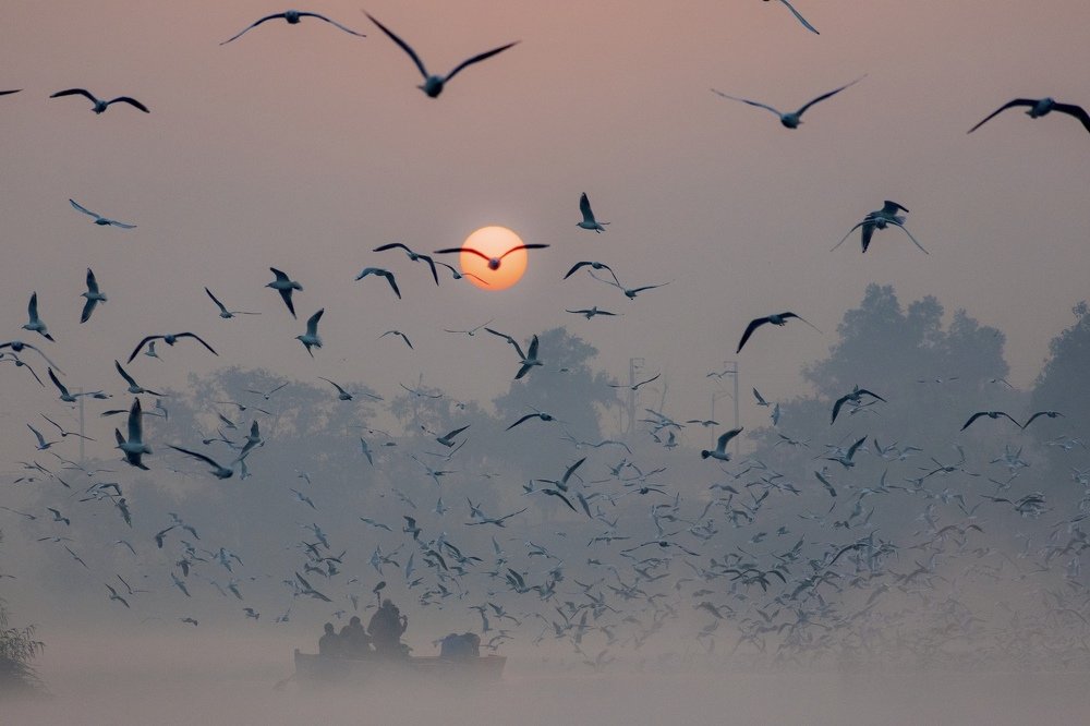 Photograph by Vivek Rawat