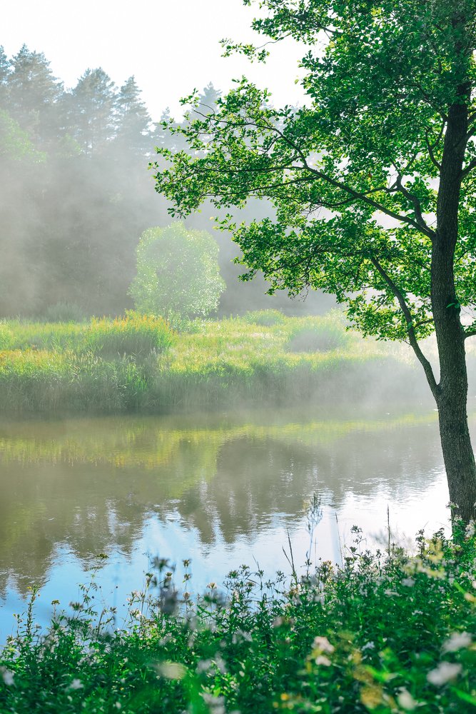 Photograph by Татьяна Мельник