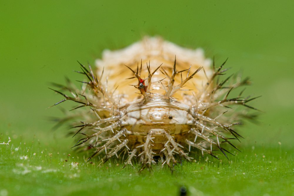 Photograph by Navdeep Rahul