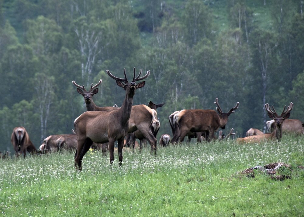 Photograph by Вера Кетова