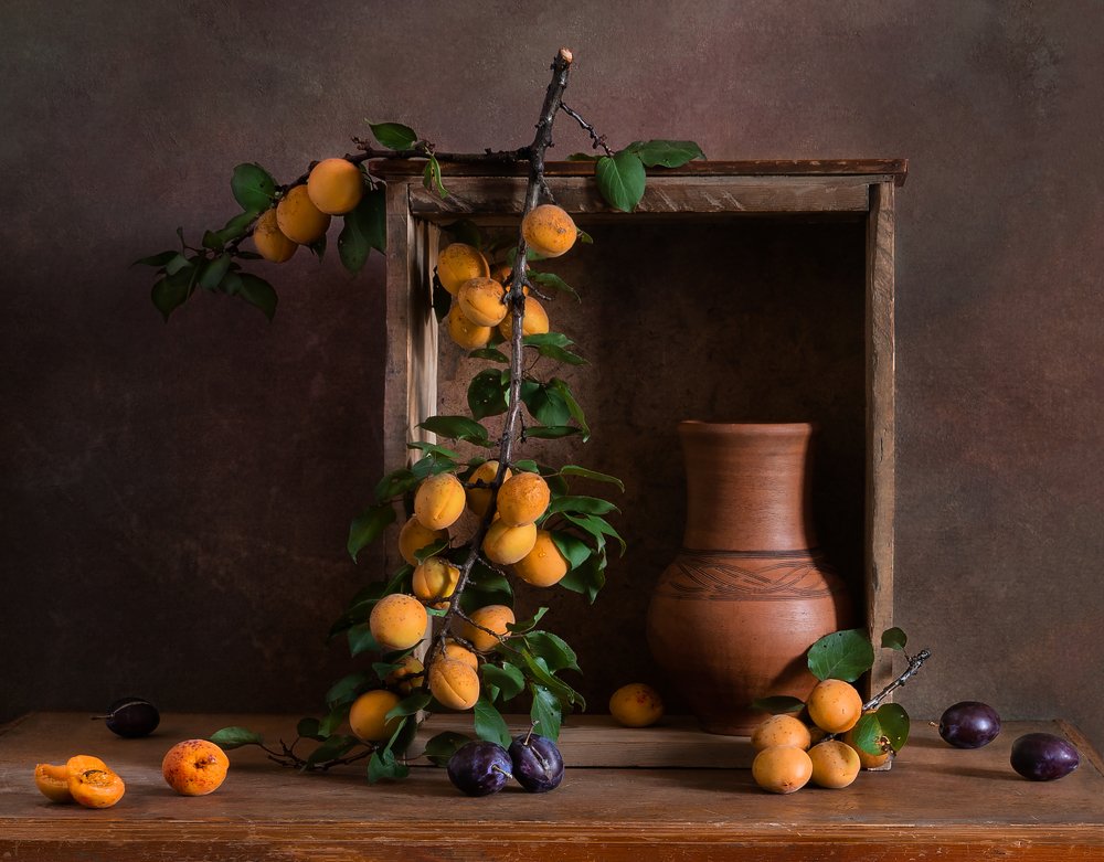 С веткой абрикосов.