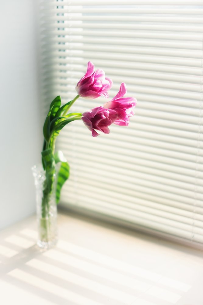 Photograph by Ольга Могдалёва