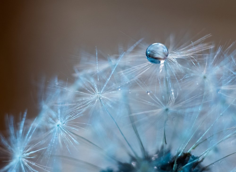 Photograph by Наталья Леуткина