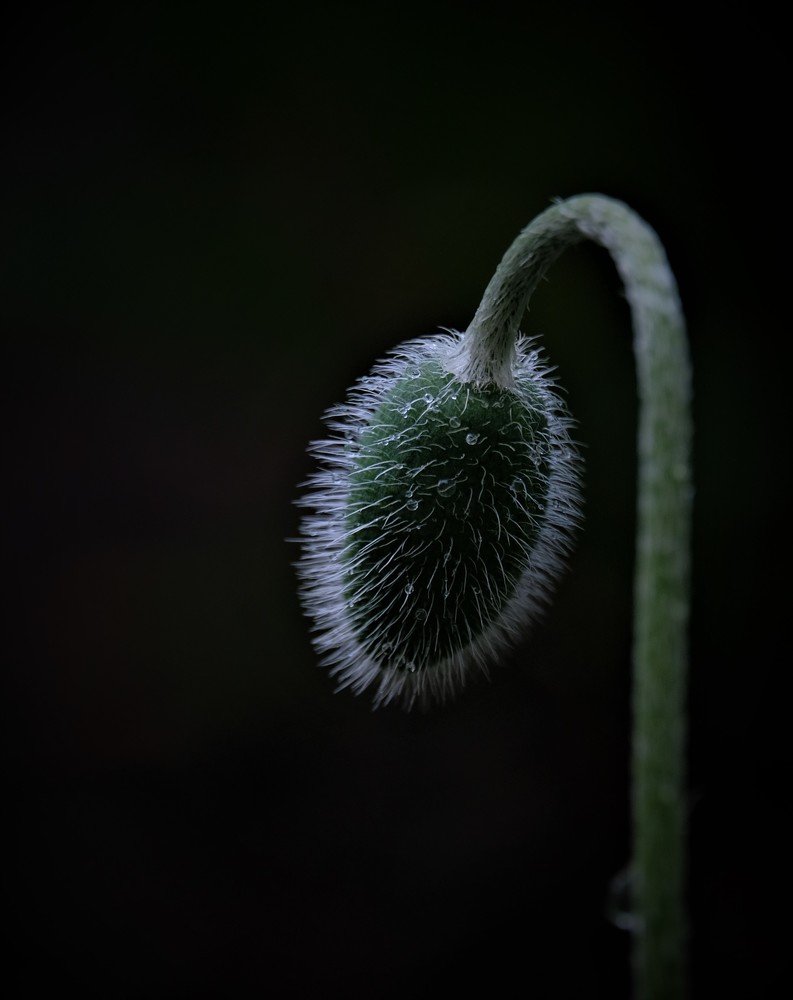 Photograph by Наталья Леуткина