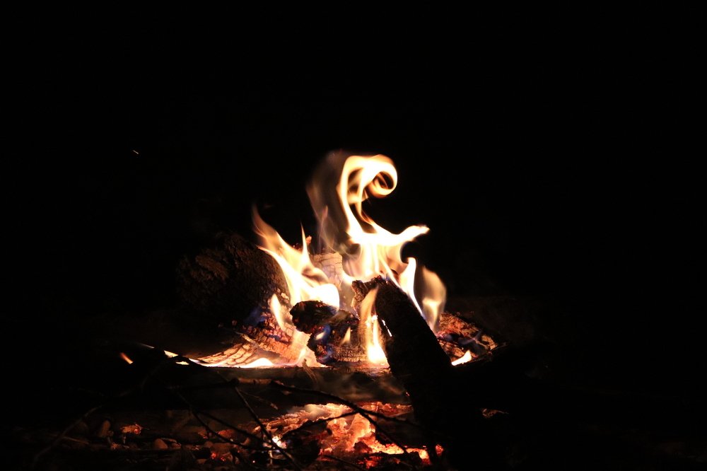 Фотография автора Веста Ягужинская