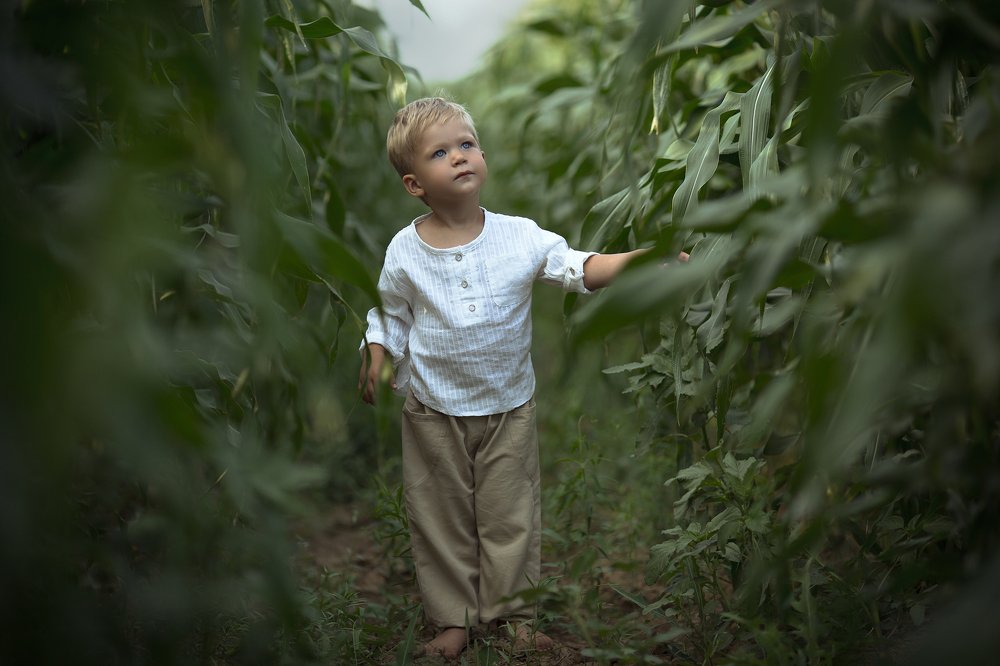 Photograph by Эльмира Борисова
