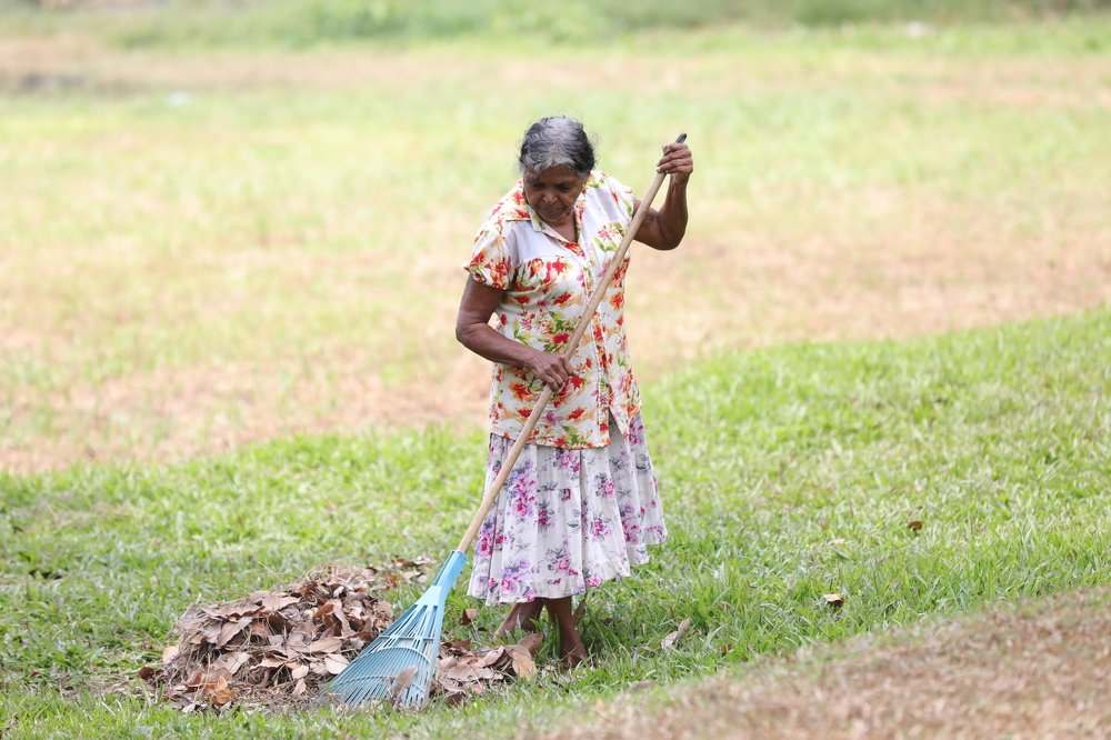 Environment beautifiers