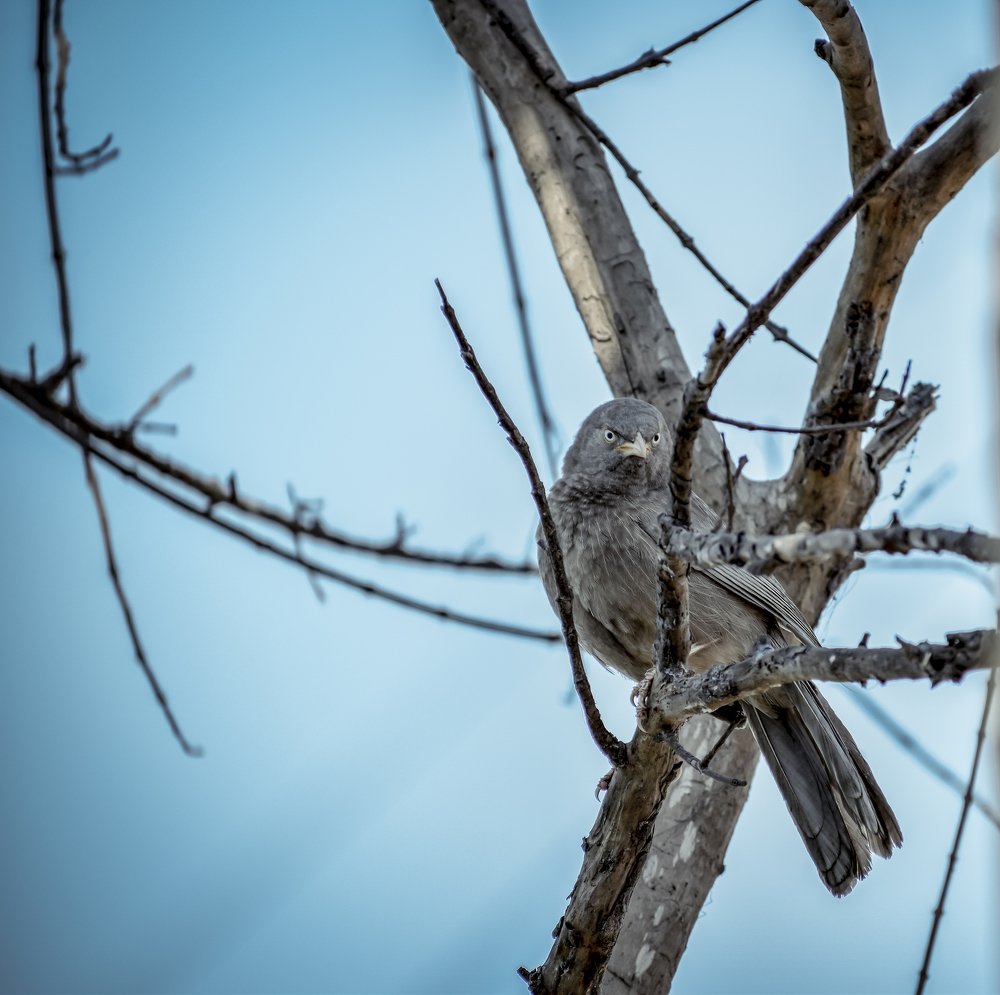 Photograph by Yukti Adhikary