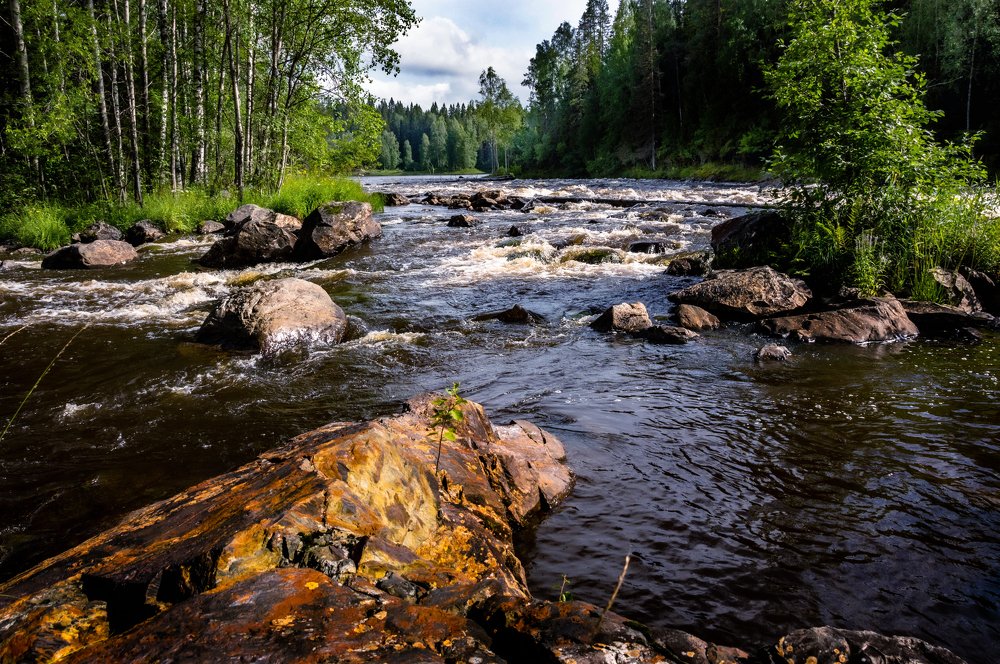 Золотые камни реки Янис