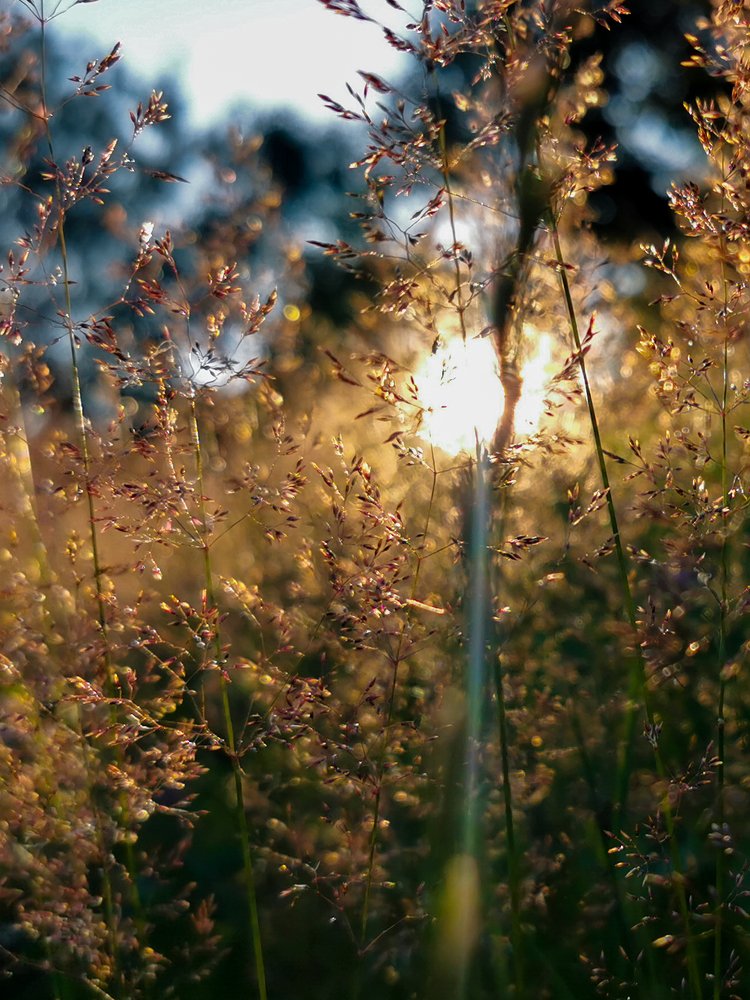 Photograph by Евгений Гусаков