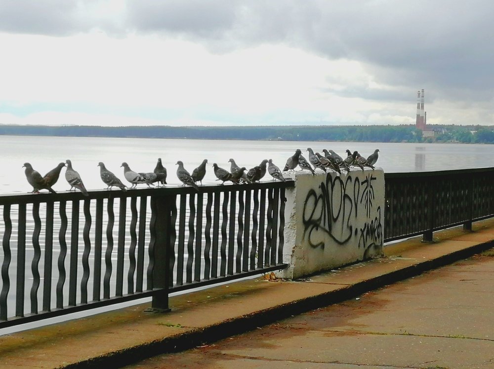 Photograph by Алексей Приешкин