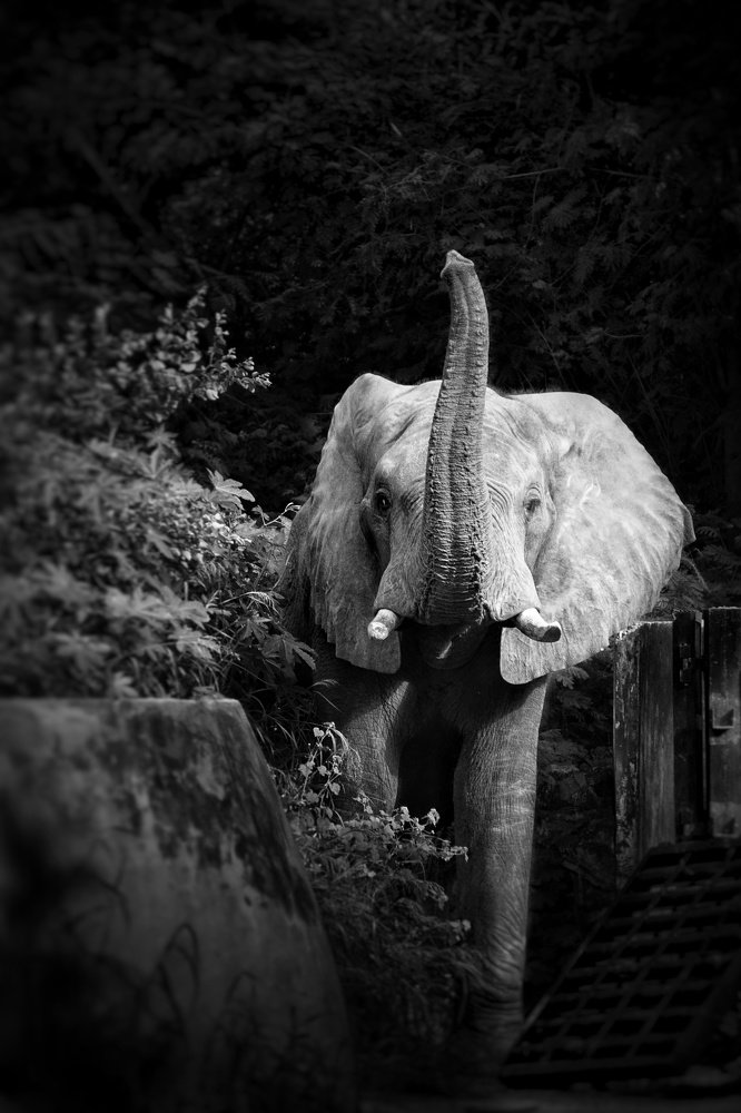 Фотография автора Mridul Chaudhary